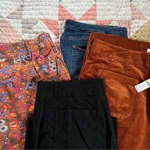 Anthropologie plus Colette Pants Collection